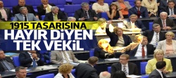 Tasarıya hayır diyen tek isim: Bettina Kudla
