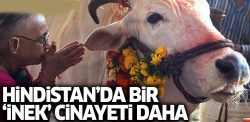 Hindistan'da bir Müslüman inek kestiği iddiasıyla dövülerek öldürüldü