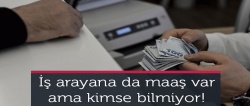 İş arayana da maaş var ama kimse bilmiyor!