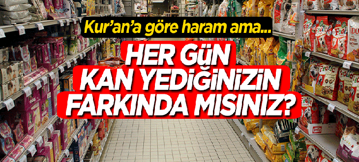 Tabağınıza böcek konsa yer misiniz?..