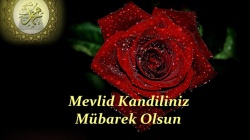 Bu gece Mevlid Kandili..