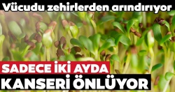 Bu besinler kanser riskini azaltıyor!