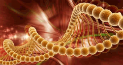 İnsanlık tarihinin en gizemli bilmecesi..