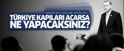 'Türkiye kapıları açsa ne yapacaksınız?'