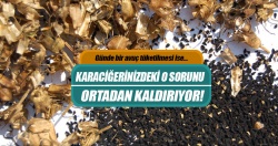 Binbir derde deva: Çörekotu