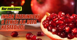 Kas erimesine karşı nar..