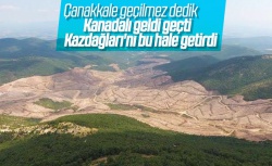 Kanadalı firmadan Kaz Dağı'nda ağaç katliamı!..