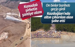 Kanadalı şirketin alanına girenler şoke oldu!..