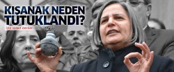 Gültan Kışanak neden tutuklandı? İşte somut deliller...
