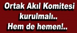 Ortak Akıl Komitesi kurulmalı..