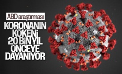Koronavirüsün kökeni, 20 bin yıl önceye dayanıyormuş..