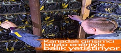 Kanada'da kripto enerjiden bitki üretimi..