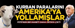 FETÖ kurban paralarını ABD'ye yollamış!..