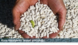 Kuru fasulyenin 'lezzet yolculuğu'