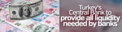 Turkey's Central Bank to provide all liquidity needed by banks