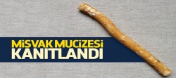Misvak mucizesi...