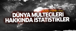 Dünya mültecileri hakkında istatistikler...