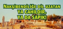 NAKŞİBENDİLİĞE DİL UZATAN YA CAHİLDİR, YA DA SAPIK!