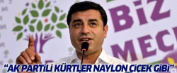 Demirtaş AK Partili Kürtlere hakaret etti!..