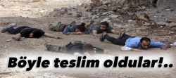 Nusaybin'de 8 terörist daha teslim oldu