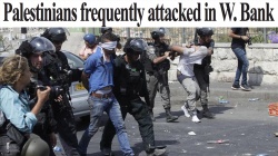 W. Bank Palestinians target of frequent attacks: Report