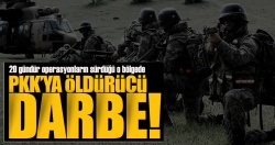 Mehmetcik 20 gündür PKK’yı sinek gibi eziyor!..