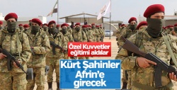 Kürt Şahinler Afrin'de..