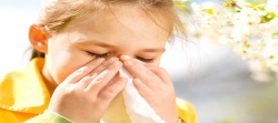 Tedavi edilmeyen saman nezlesinde astım riski