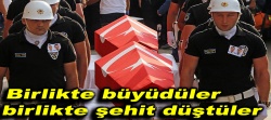 Birlikte büyüyüp birlikte şehit düştüler!