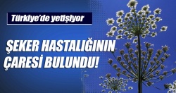 Şeker hastalığının çaresi bulundu!..
