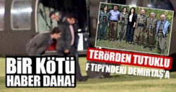 Demirtaş'a bir dava daha açıldı..