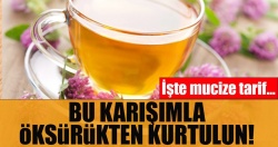 Bağışıklık Kalkanı 10 Süper Besin!..