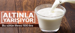 At ve eşek sütünün fiyatı altınla yarışıyor