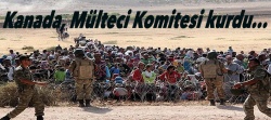 Kanada Hükümeti, Mülteci Komitesi kurdu