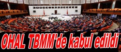 OHAL TBMM'de kabul edildi..