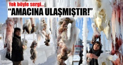 Terör ve şiddete ilginç tepki!..