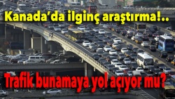 Yollara yakın yaşayanlar dikkat!.. Trafik bunamaya yolaçıyor olabilir..