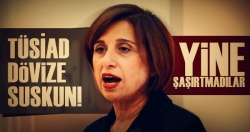 TÜSİAD dövize suskun!..