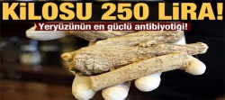 Yeryüzünün en güçlü antibiyotiği!