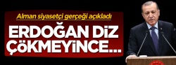 Willy Wimmer: Erdoğan diz çökmeyince darbeye kalkıştılar