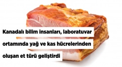 Kanadalı bilimadamlarından müthiş buluş!..