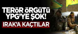 PYD militanları örgütten kaçarak Irak'a sığındı
