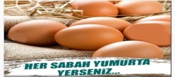 En kolay ve sağlıklı kilo verme yöntemleri..
