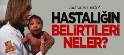 Zika virüsü nedir?