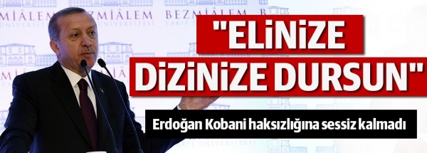 erdogan6204635d