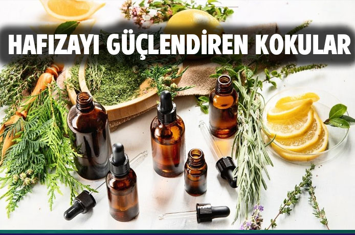 Hafızayı ve beyin fonksiyonlarını iyileştirmek için doğal tedavi